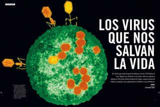 Pages du magazine avec l'article «&nbsp;Ces virus qui nous sauvent&nbsp;»